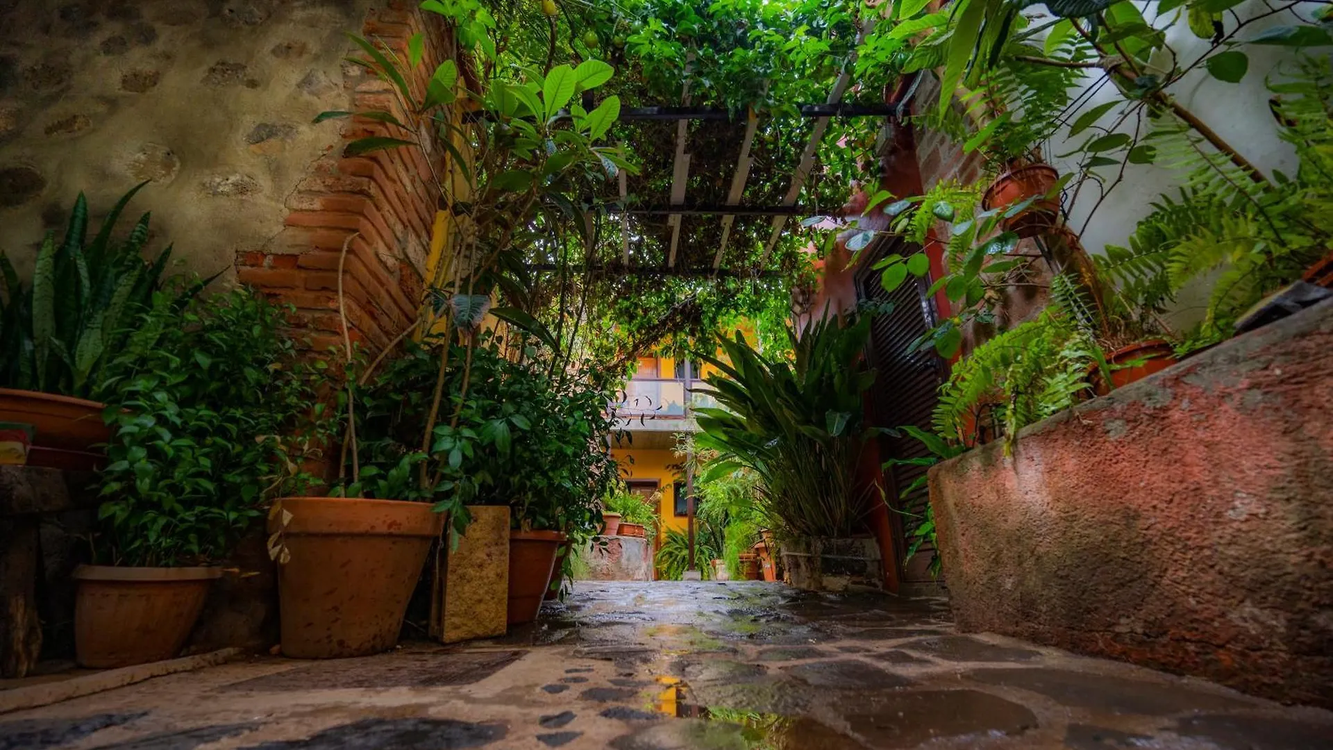 Casa rural Hostal La Asomada del Gato La Laguna