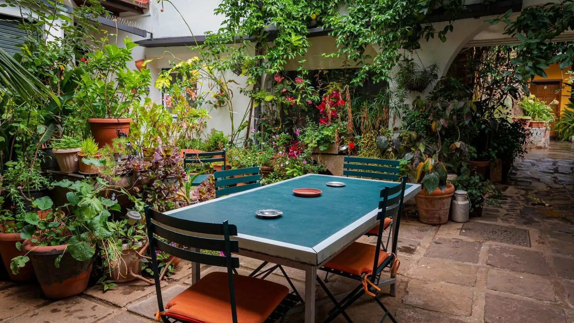 Hostal La Asomada del Gato La Laguna