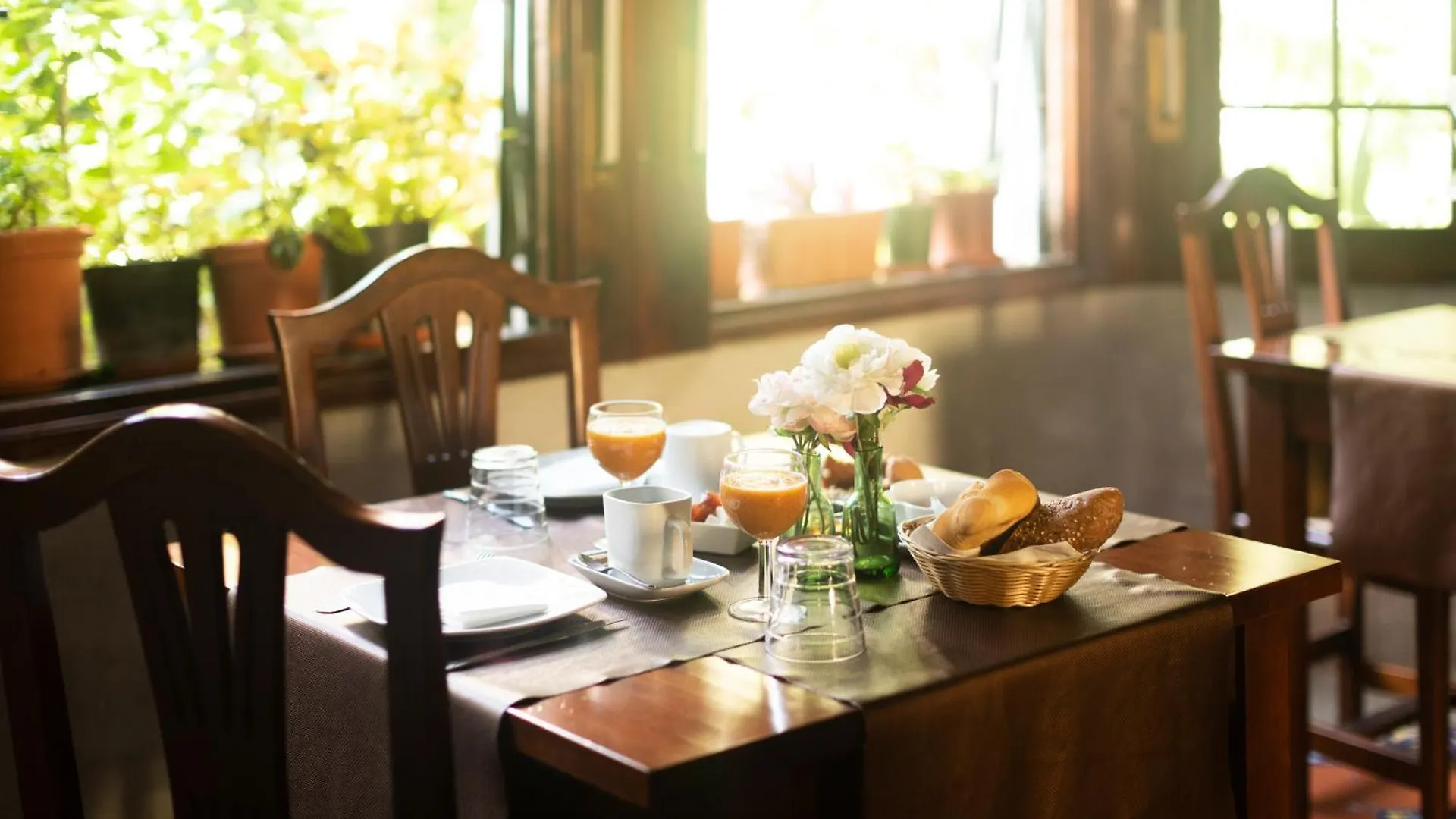 Hostal La Asomada del Gato La Laguna  La Laguna (Tenerife)