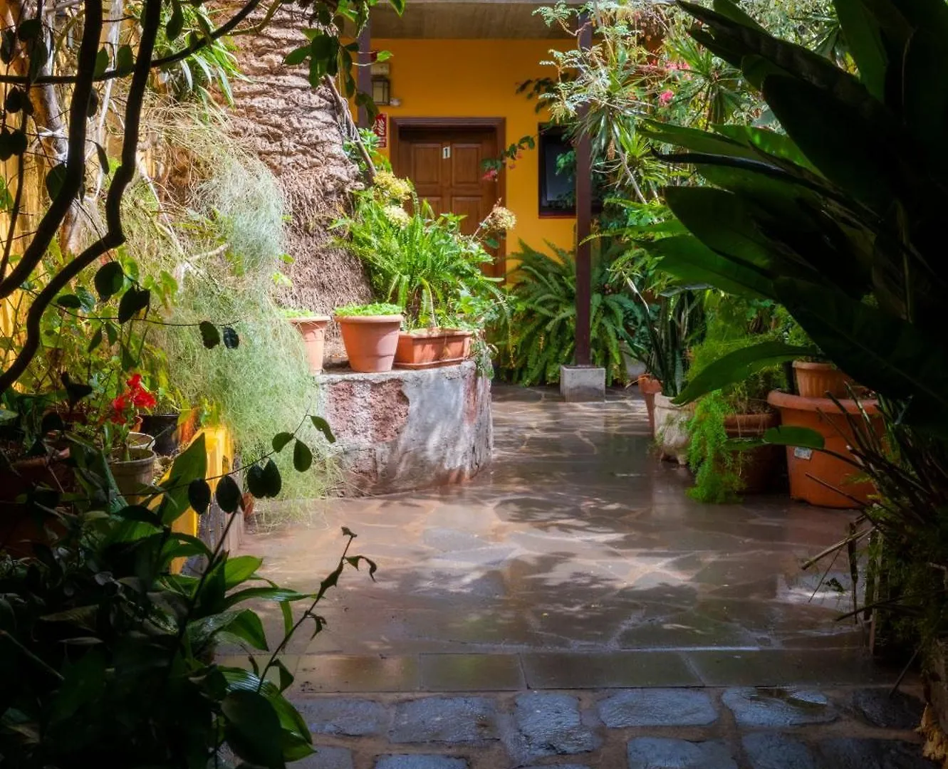 Hostal La Asomada del Gato La Laguna  Casa rural La Laguna (Tenerife)