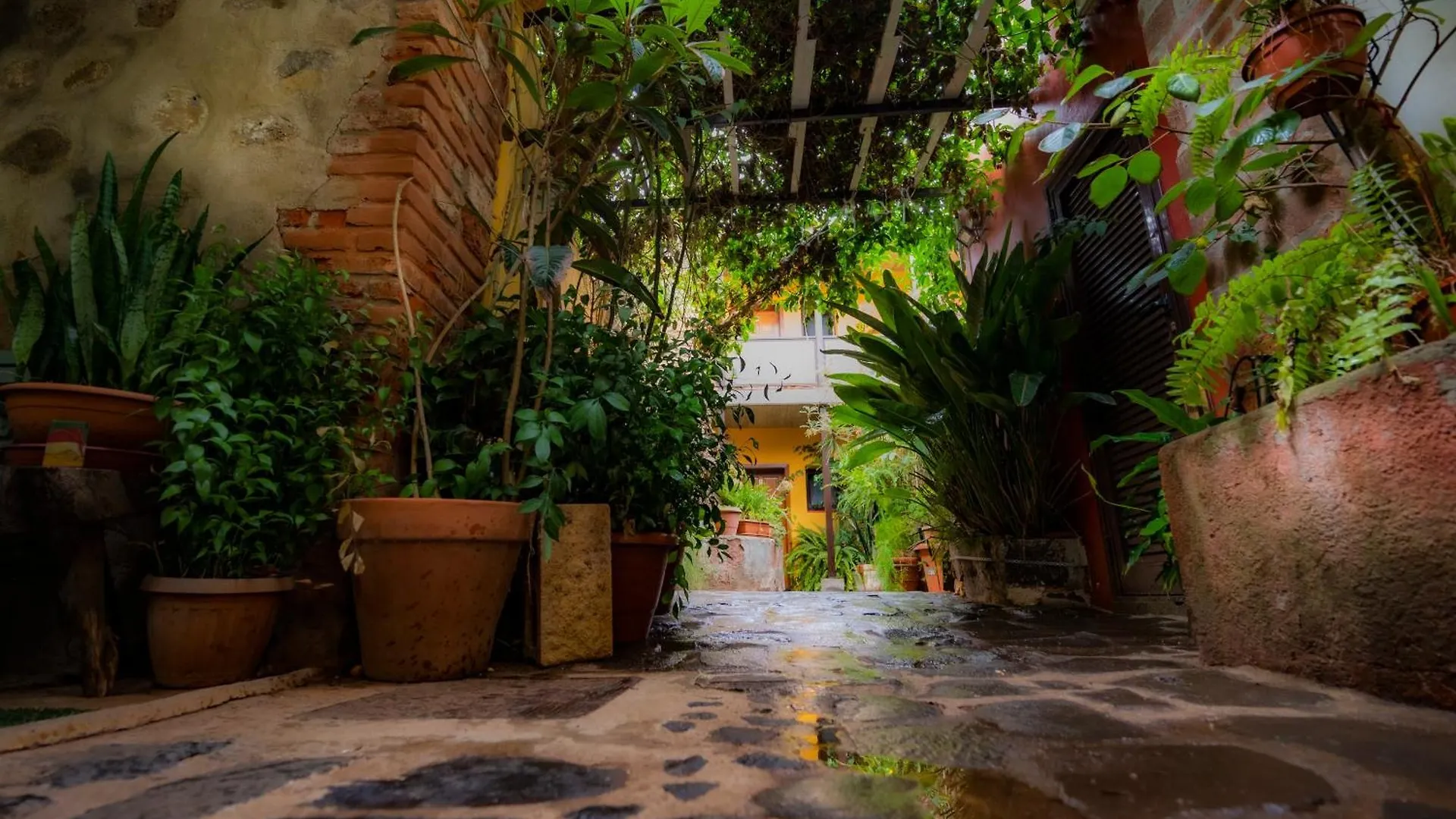 Hostal La Asomada del Gato La Laguna  0*, La Laguna (Tenerife)